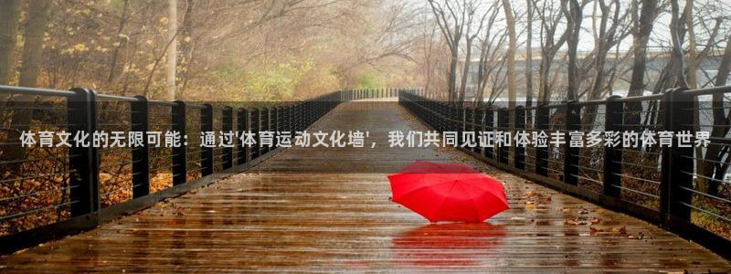 利记官方正版app集团E.ON：体育文化的无限可能：