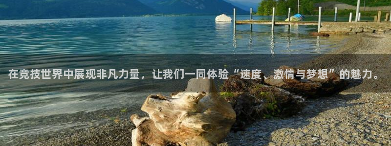 利记官网下载平台是正规平台吗安全吗：在竞技世界中展现
