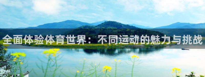 利记官方正版app新能源：全面体验体育世界：不同运动