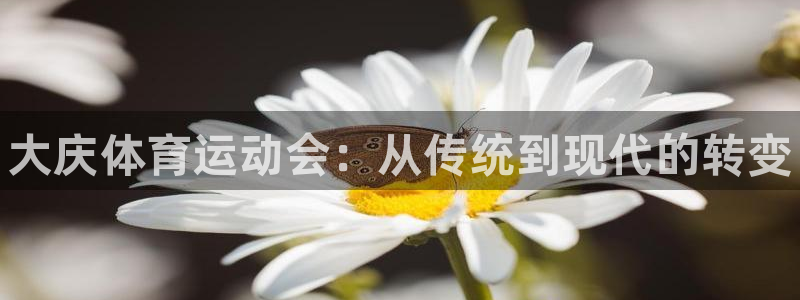 利记官网下载平台注册要钱吗安全吗：大庆体育运动会：从