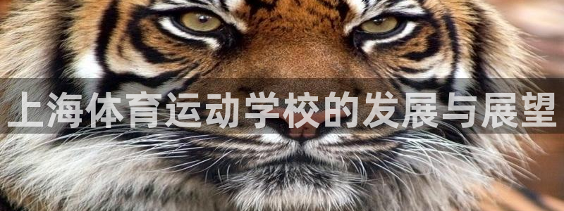 利记官网下载招商电话地址是多少：上海体育运动学校的发展与展望