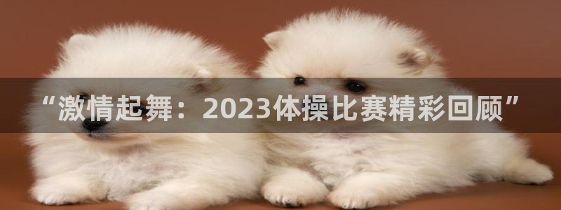 利记官方正版app集团官网首页：“激情起舞：2023体操比赛