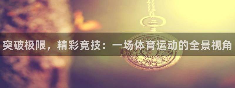 利记官网下载娱乐：突破极限，精彩竞技：一场体育运动的全景视角
