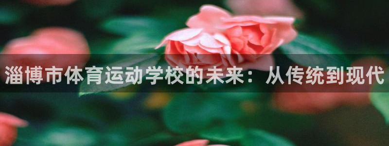 利记官网下载招商