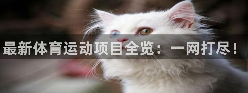 利记官方正版app娱乐