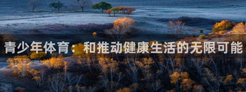 利记官网下载软件：青少年体育：和推动健康生活的无限可