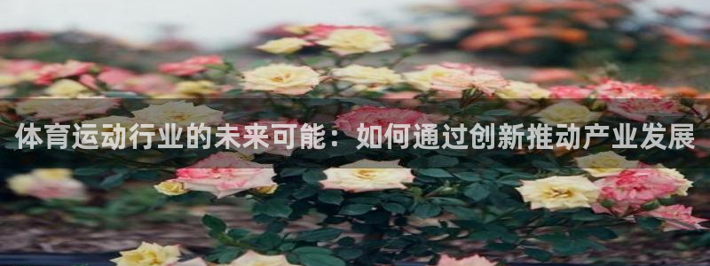 德国利记官方正版app集团：体育运动行业的未来可能：如何通过