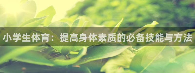 利记官网下载平台是正规平台吗安全吗：小学生体育：提高