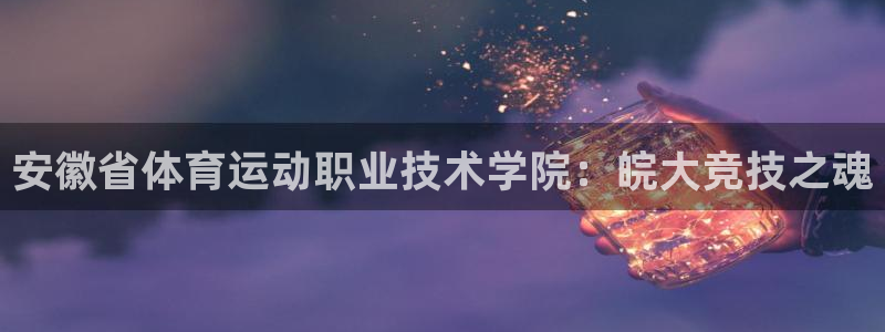 利记官方正版app神州：安徽省体育运动职业技术学院：