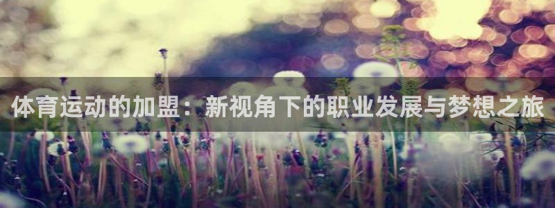 利记官网下载招商电话：体育运动的加盟：新视角下的职业