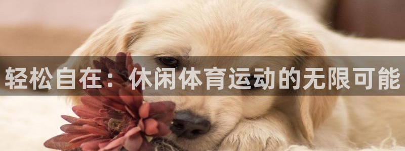利记官网下载平台注册要钱吗：轻松自在：休闲体育运动的