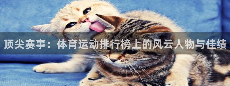 利记官网下载平台是正规平台吗：顶尖赛事：体育运动排行