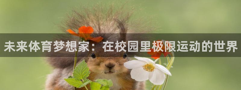 利记官网下载软件：未来体育梦想家：在校园里极限运动的
