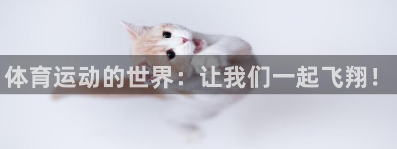 利记官方正版app娱乐代理怎么样：体育运动的世界：让我们一起