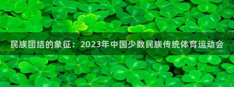 利记官网下载联系电话：民族团结的象征：2023年中国