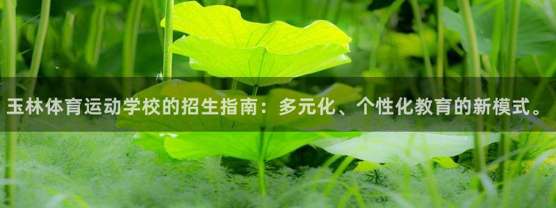 海南利记官网下载发展怎么样：玉林体育运动学校的招生指