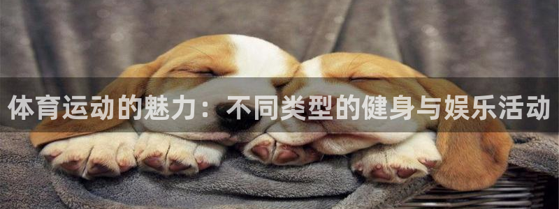 注册利记官方正版app：体育运动的魅力：不同类型的健