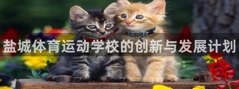 利记官网下载平台注册流程图