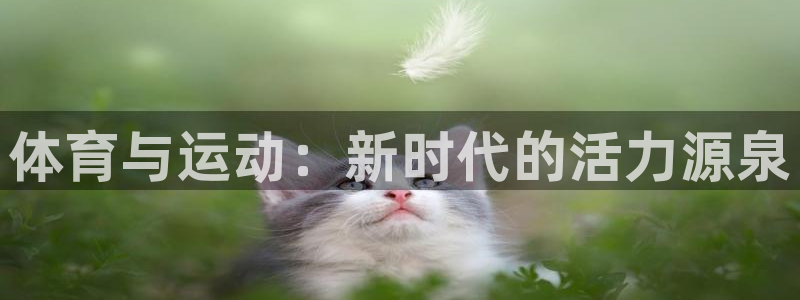 利记sbobet黑款吗：体育与运动：新时代的活力源泉