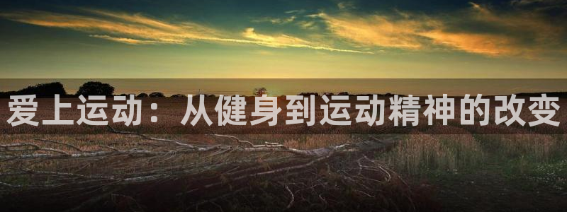  利记app官方官网登录：爱上运动：从健身到运动精神的改变