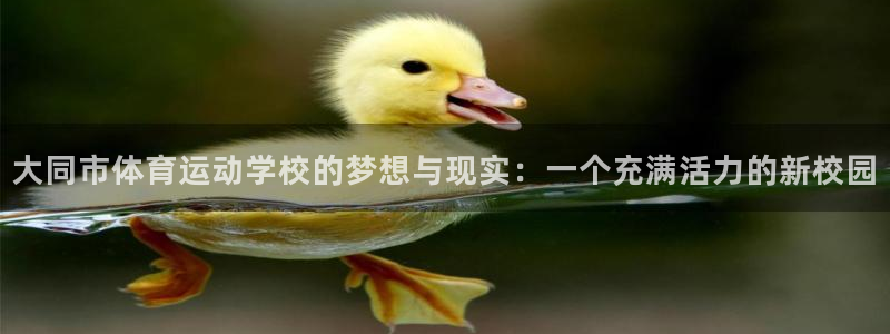 利记sbo：大同市体育运动学校的梦想与现实：一个充满活力的新