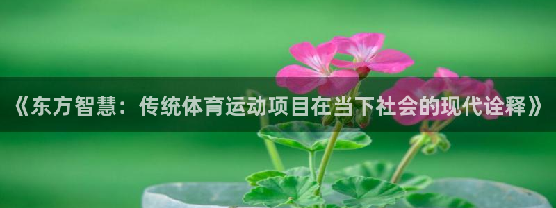 利记sbobet官方网站入口