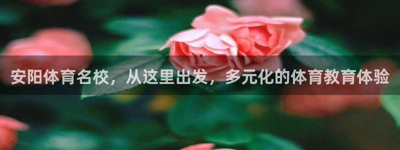 利记官方网站是多少